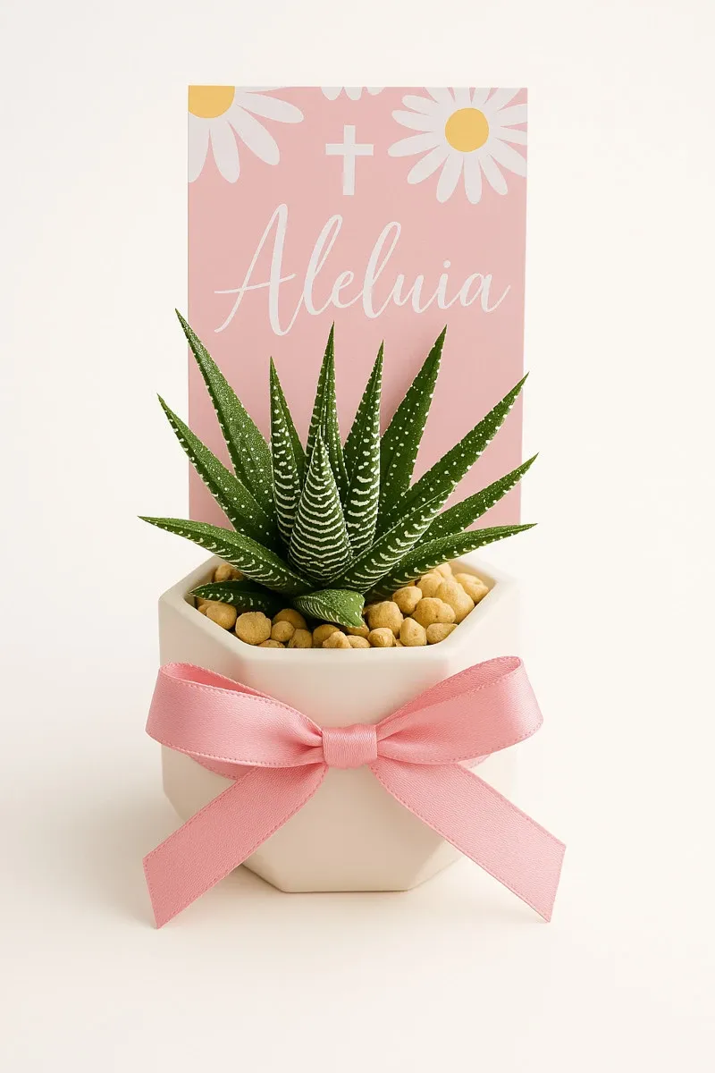 Suculenta clásica - Suculenta en maceta de yeso elegante