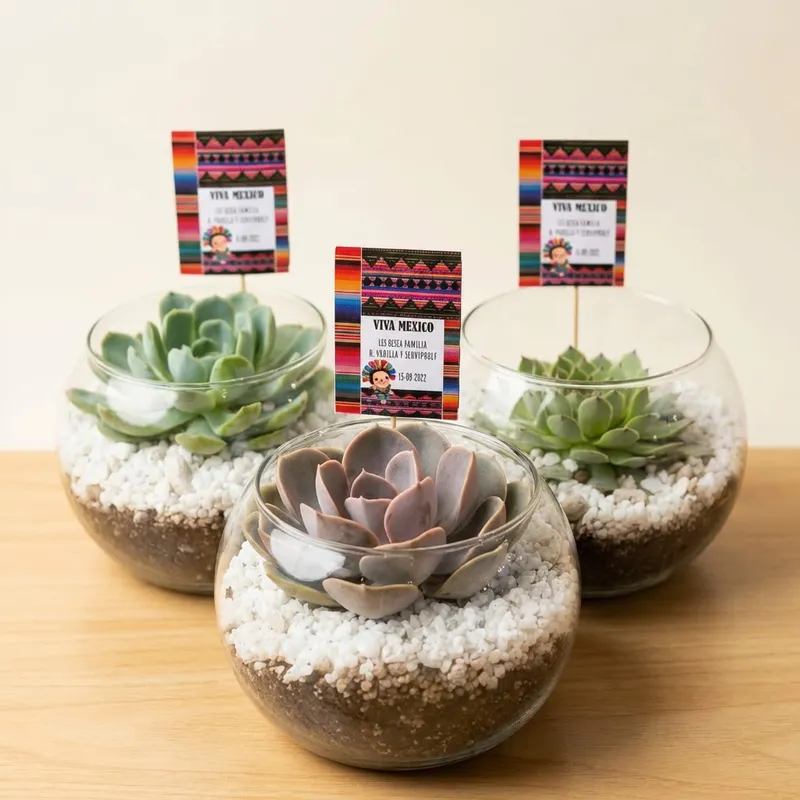 Detalle Terrario Zen